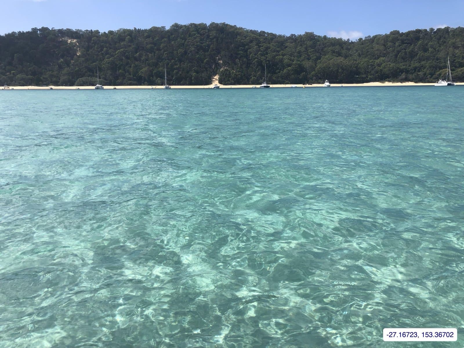 Photograph taken near Moreton Island