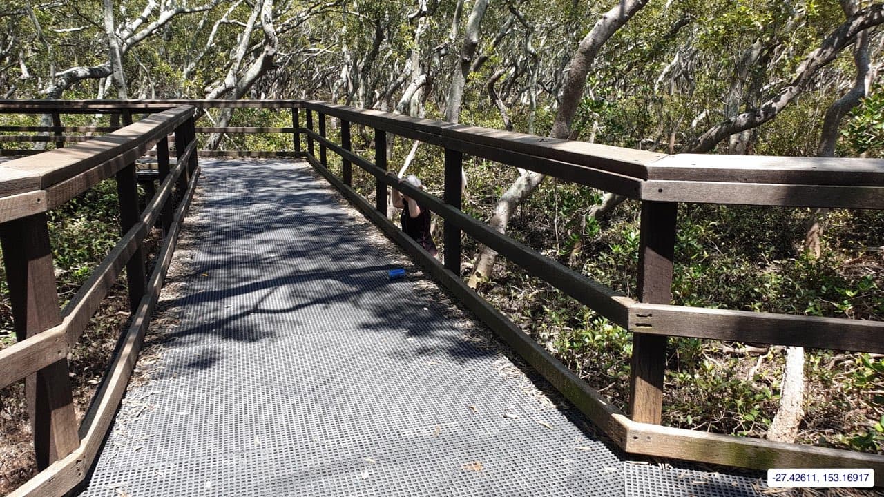 Photograph taken near Moreton Bay mainland