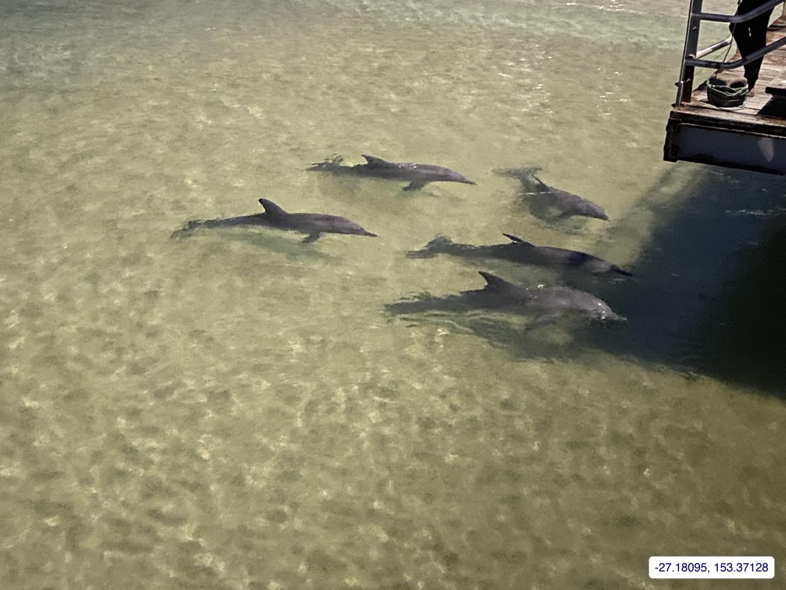 Photograph taken near Moreton Island