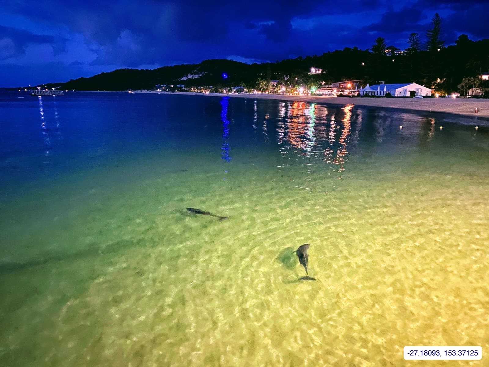 Photograph taken near Moreton Island