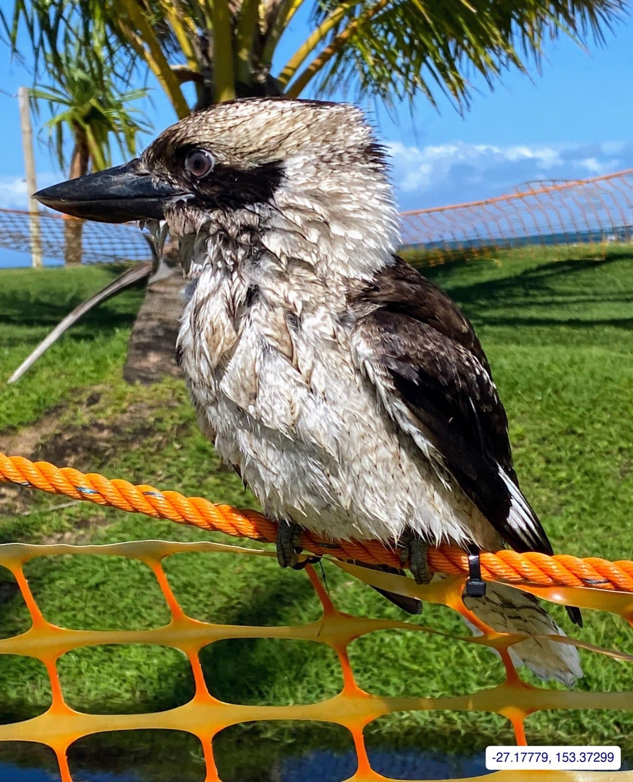 Photograph taken near Moreton Island