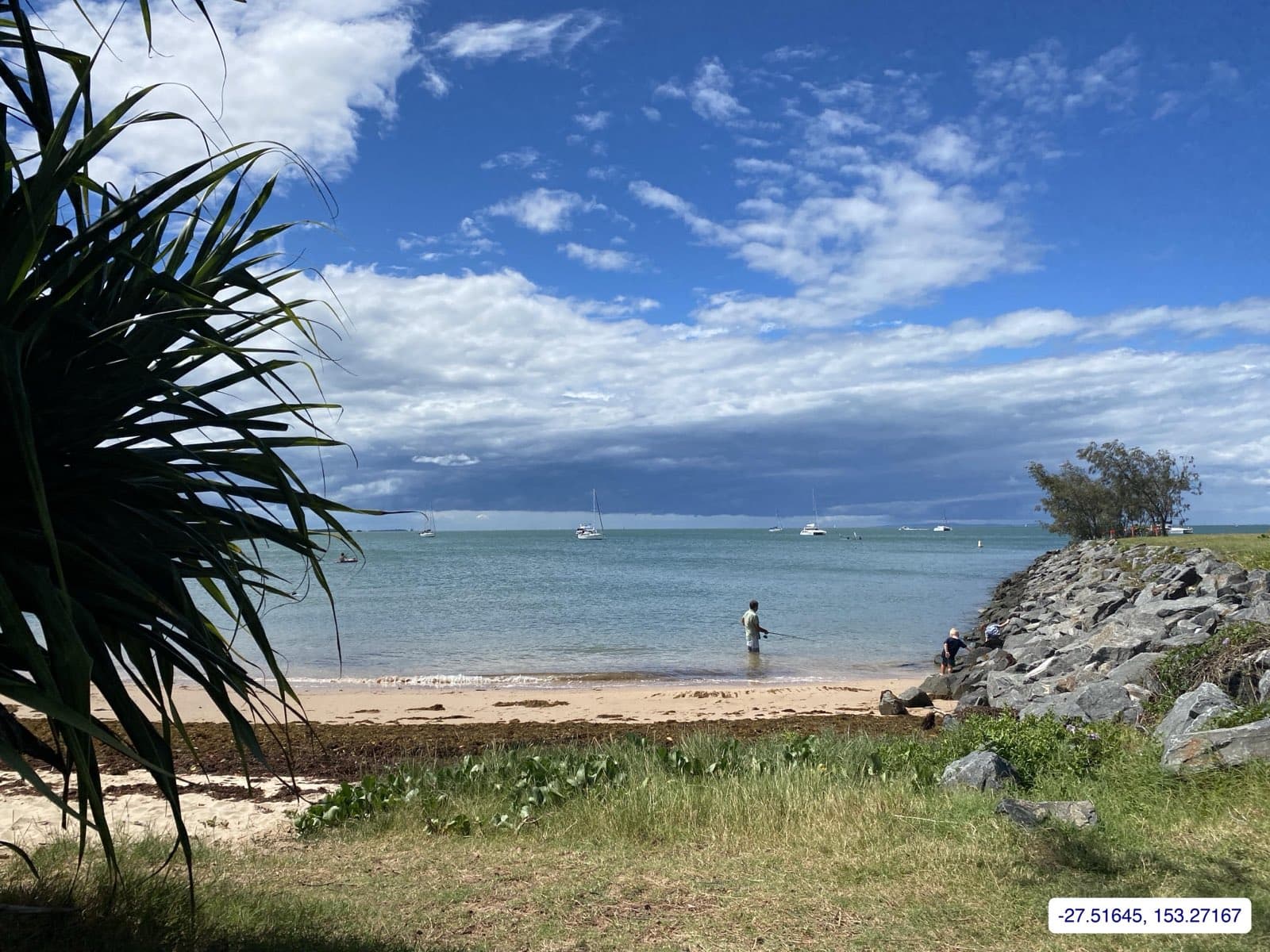 Photograph taken near Moreton Bay mainland