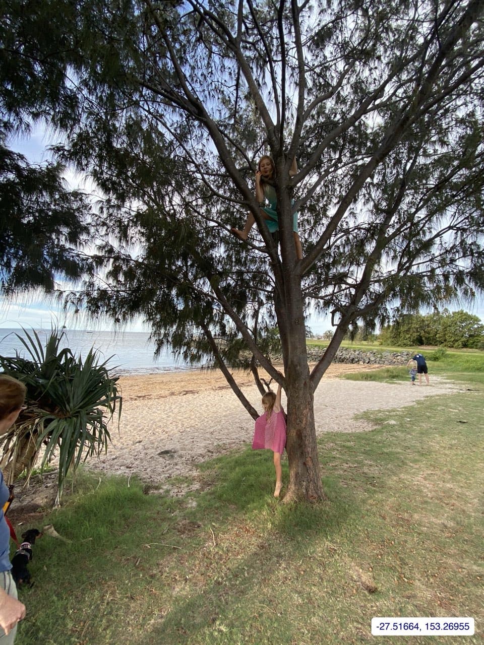 Photograph taken near Moreton Bay mainland
