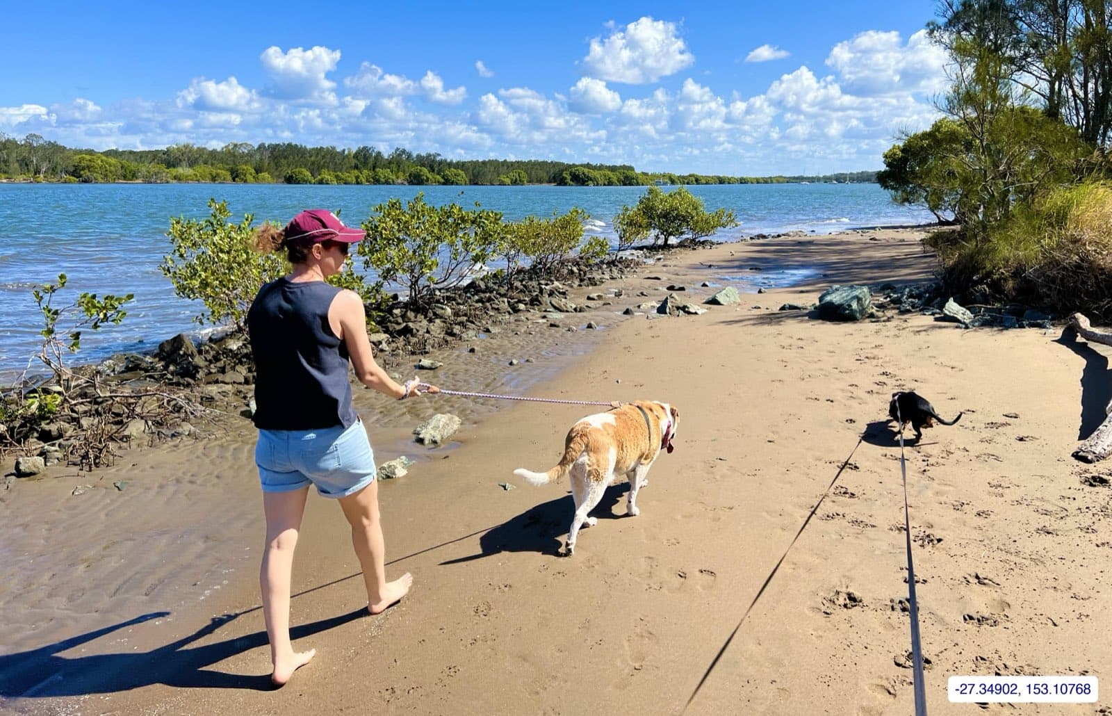 Photograph taken near Moreton Bay mainland
