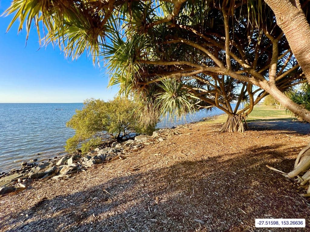 Photograph taken near Moreton Bay mainland