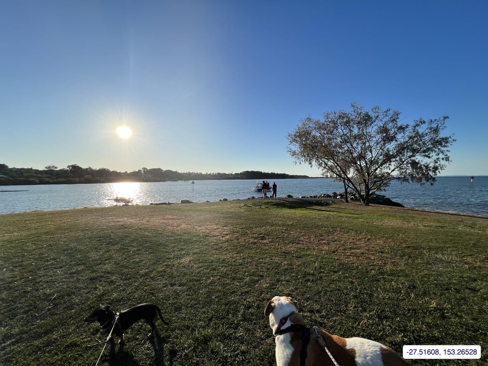 Photograph taken near Moreton Bay mainland