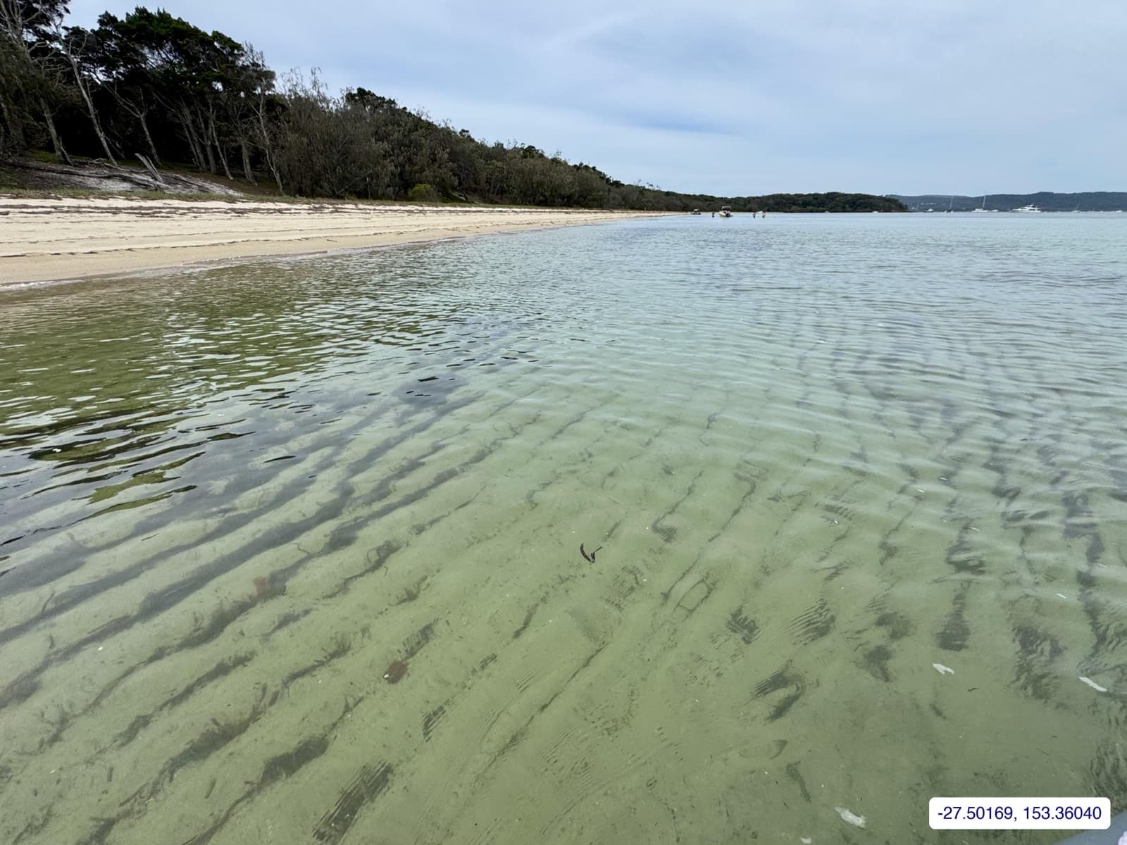 Photograph taken near Peel Island