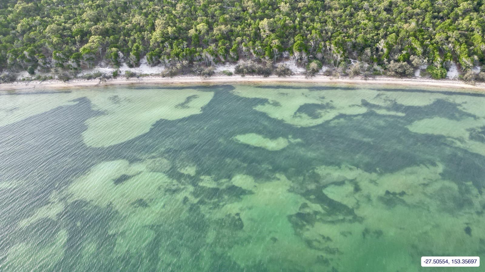 Photograph taken near Peel Island