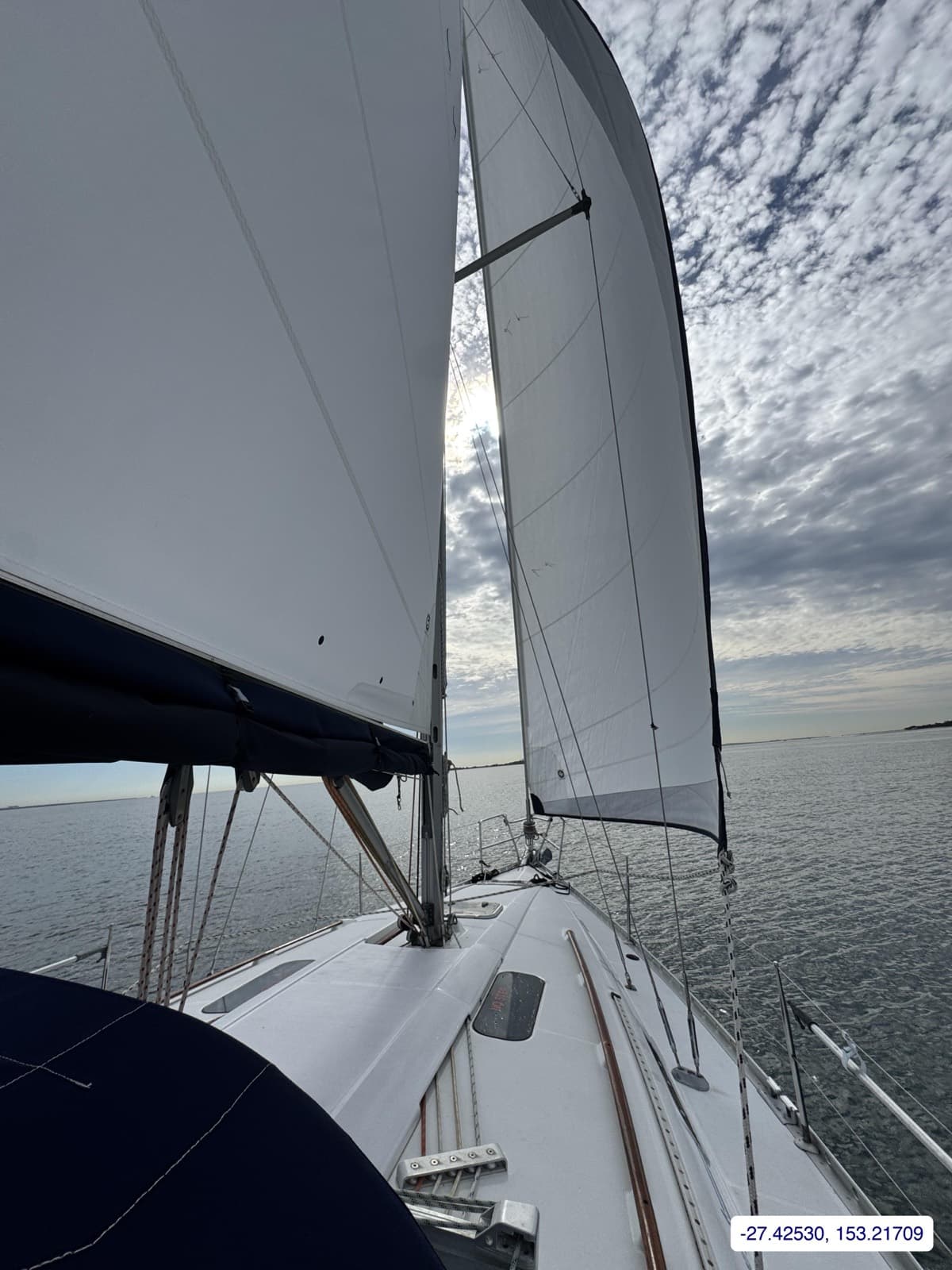 Photograph taken near Moreton Bay mainland