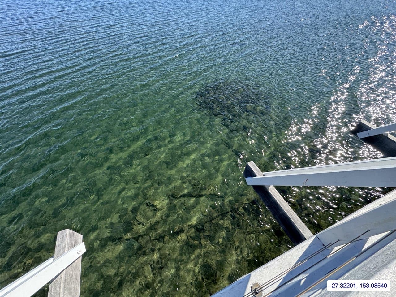 Photograph taken near Moreton Bay mainland