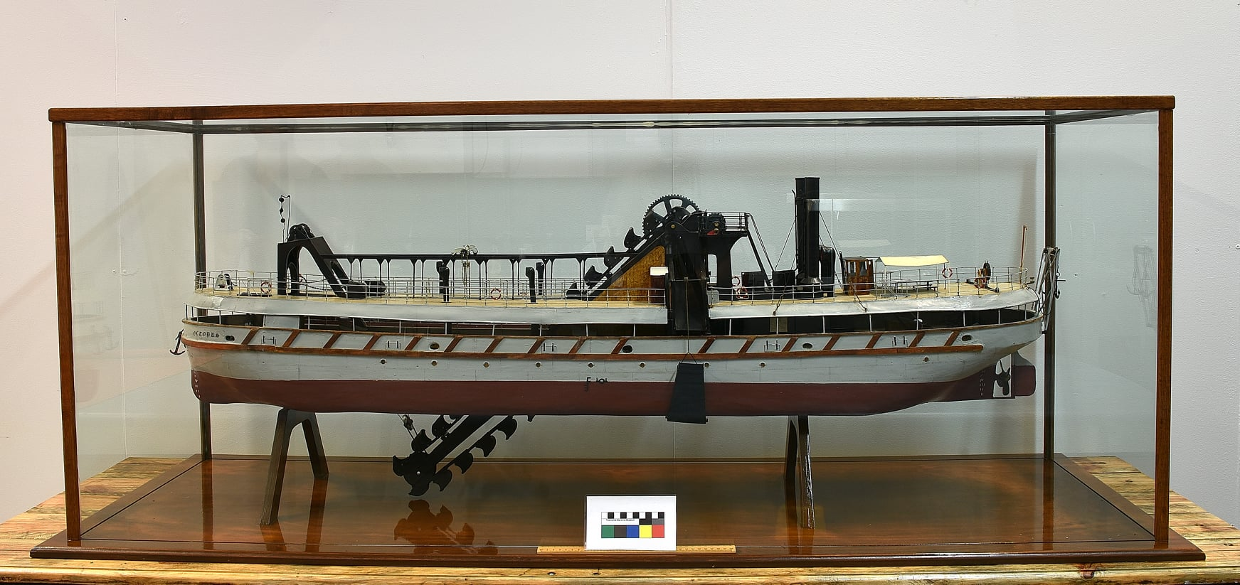 octopus_model